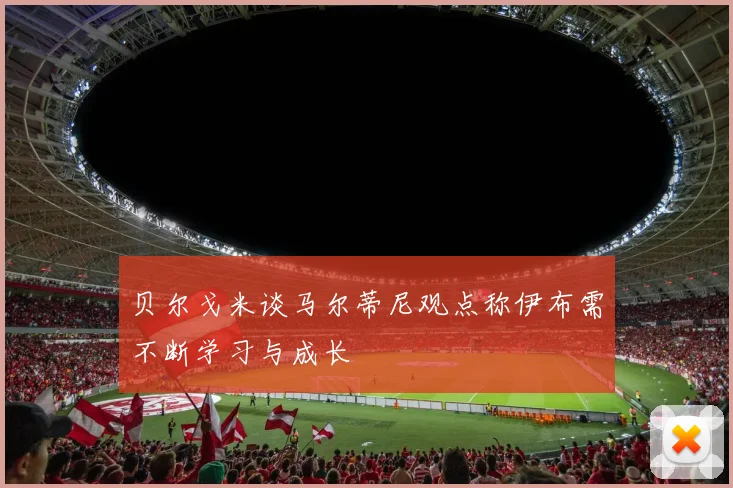 贝尔戈米谈马尔蒂尼观点称伊布需不断学习与成长